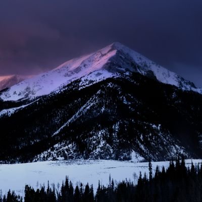 jacobomo54's profile picture. 