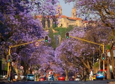 Est. 2015 - A brand that aims to promote and celebrate everything that is Pitori. Join the movement