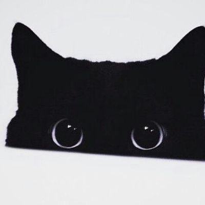 EssVeeEff's profile picture. .