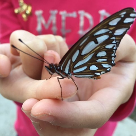 vJasol2018's profile picture. VCP4/5/6, VCAP6, VMworld, CCNADC,MCITP, IT, DAD