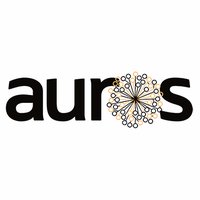 Auros(@Auros) 's Twitter Profile Photo