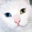 olgamirankova's profile image