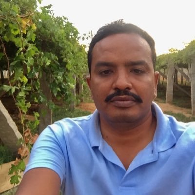 Seena2286's profile picture. 