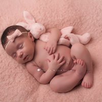 Gina Newborn Photos(@LINewbornphotog) 's Twitter Profile Photo