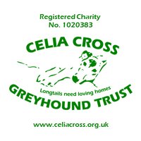 Celia Cross Greyhound Trust(@celiacross) 's Twitter Profile Photo