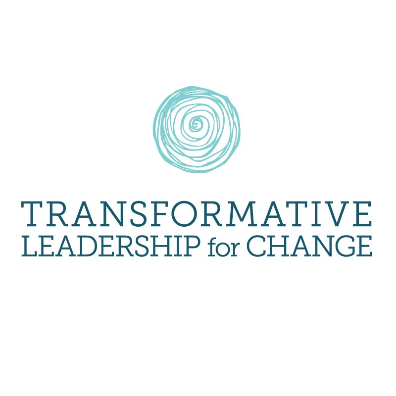 We are supporting movement building and social justice through transformative leadership, racial justice, and shifting the ecosystem.