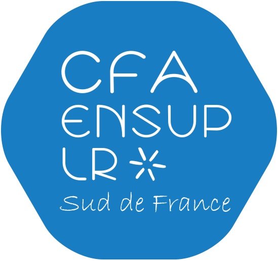 CFA EnSup-LR