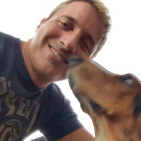 Steve (@stevenomas) 's Twitter Profile
