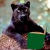 Home&School Literacy (@sveliteracy) Twitter profile photo Home&School Literacy (@sveliteracy) Twitter profile photo