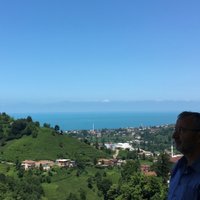 temel hazıroğlu (@thaziroglu) 's Twitter Profile