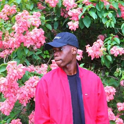 seyikwam's profile picture. 