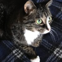 C12rg (@c12rg) 's Twitter Profile