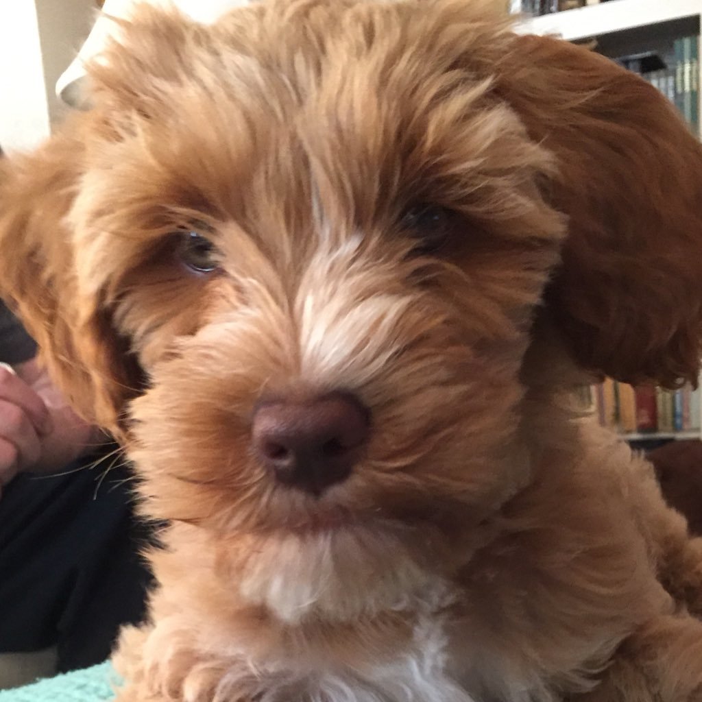 JackPackard1's profile picture. 