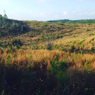 Prohunting2's profile picture. 