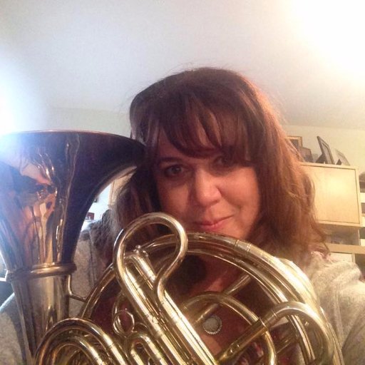 Musician, Hornist, vocalist, instructor for Horn, piano,voice,music theory classes, prospect research, grant consulting , mom of 2 boys+cats, wife, photography.