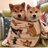 さりゅのアイコン