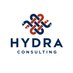 Hydra Consulting (@TheHydraCo) Twitter profile photo