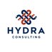 Hydra Consulting (@thehydraco) Twitter profile photo Hydra Consulting (@thehydraco) Twitter profile photo