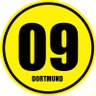 BVB_Report's profile picture. 🖤💛 #BVB