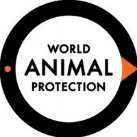 World Animal Protection India(@MoveTheWorldIN) 's Twitter Profile Photo