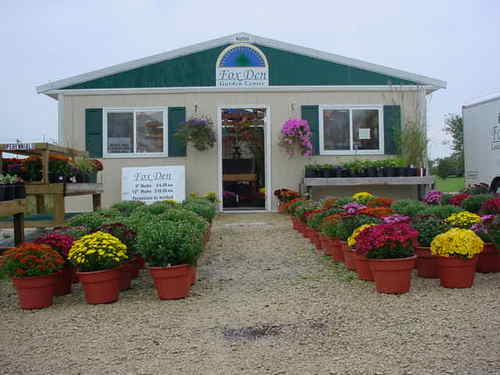 foxden15's profile picture. Dad to three, small business owner.