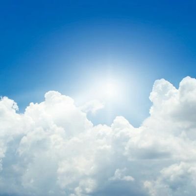 prernas24304472's profile picture. 