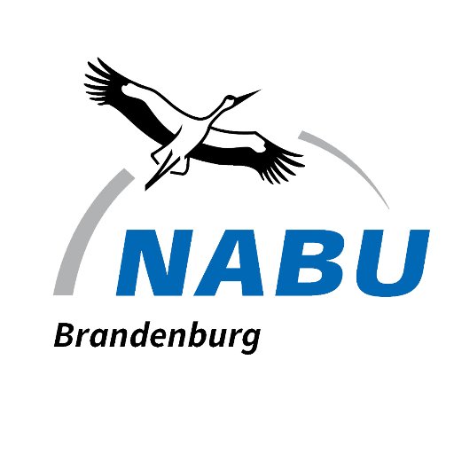 Der NABU Brandenburg ist ein Mitgliederverein in dem sich viele Ehrenamtliche für den Naturschutz engagieren.