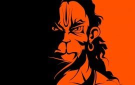 Vignesh53773228's profile picture. 