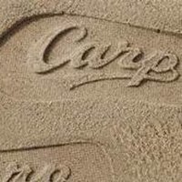 *いくみ* (@carp_0728) 's Twitter Profile