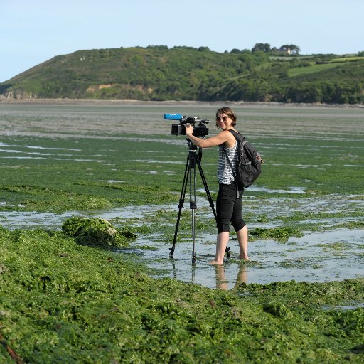 Journaliste AFPTV