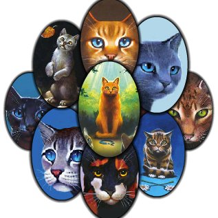 FabulousFF__'s profile picture. Welcome Here guys! Luv u!