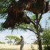 Rene van Dijk (@vandijkecology) Twitter profile photo