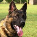 scott mccracken - @sjmdutch - Twitter