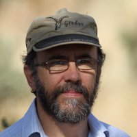 Mauricio Anton (@mantonpaleoart) 's Twitter Profile