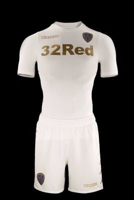 Leeds fan