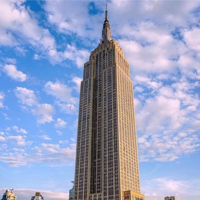 pennyparker04's profile picture. 