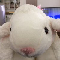 RoniRoykam (@ronithemacaroni) 's Twitter Profile