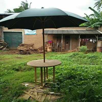 HP 081390479541