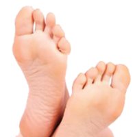 Fit Feet for Life(@FitFeetForLife) 's Twitter Profile Photo