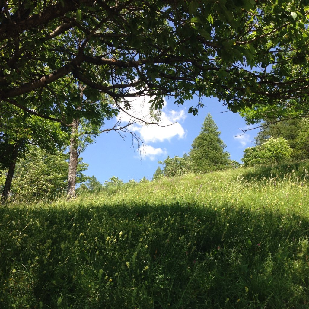 Flyingzat's profile picture. Property, Retail and Advertising