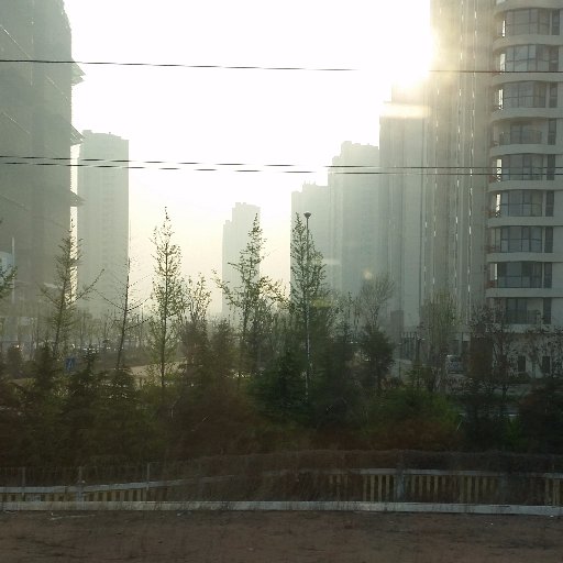 Original_Gxno's profile picture. How do you feel?🍉🌴