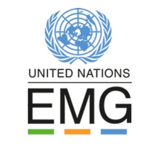 United Nations Environment Management Group Official - The UN working together for the environment