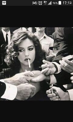 miss_ivkovic's profile picture. Smart as the devil and twice as pretty.  ♏
1312