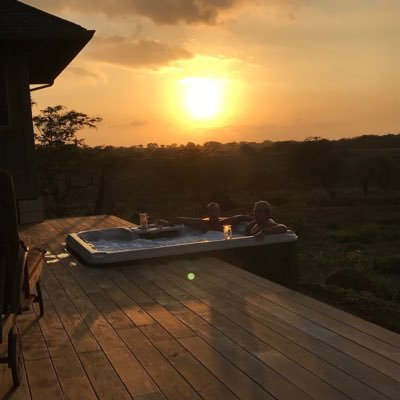 sholk200's profile picture. 