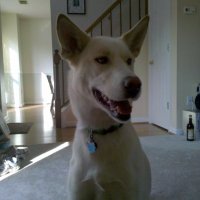 Rusty (@rusty4th) 's Twitter Profile