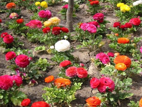 kmabeauty's profile picture. I'm married with four children.When I have time.I like to look good for my husband.