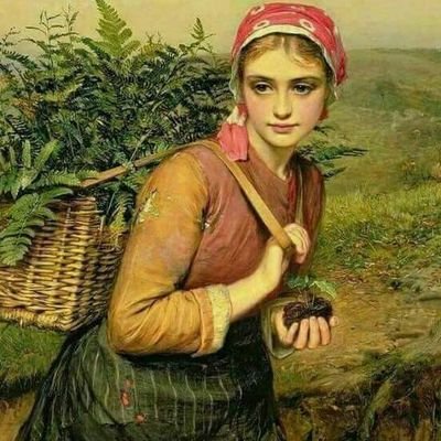 Shiv53375174's profile picture. Lect. Chem.