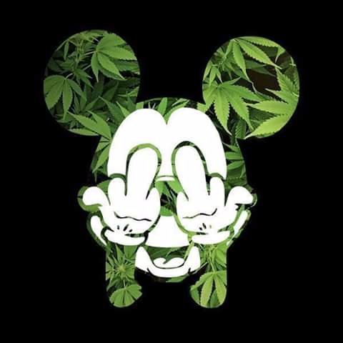 staylocal_6400's profile picture. 