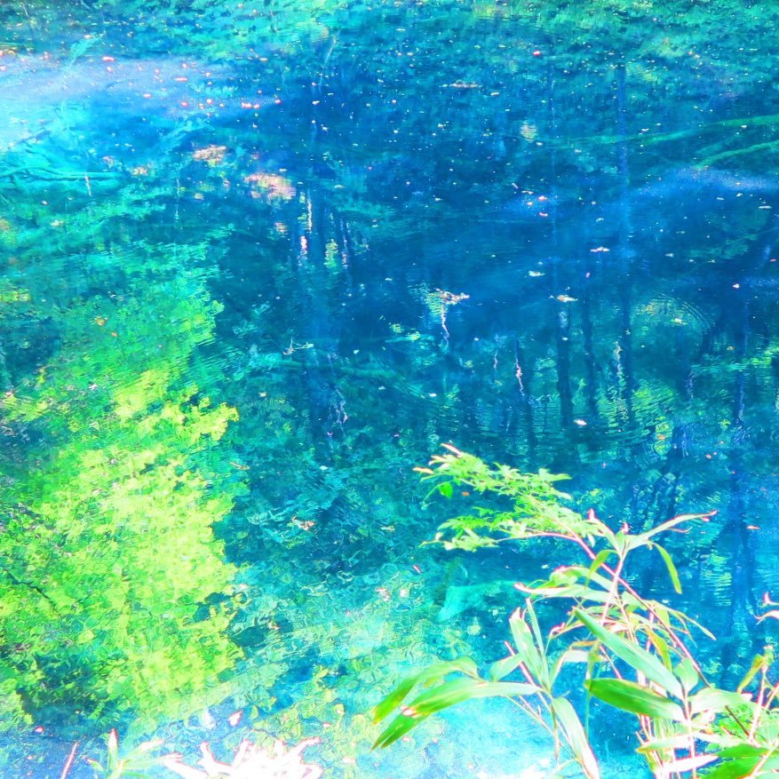 あまねしさんのプロフィール画像