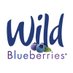 Wild Blueberries (@wildbberries) Twitter profile photo